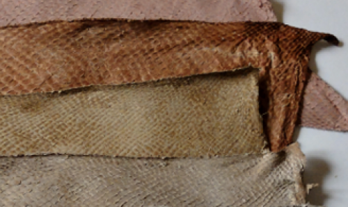 TRADITIONAL DYES FOR FISH LEATHER