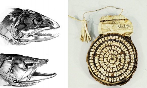 ADORNMENTS FROM THE SEA