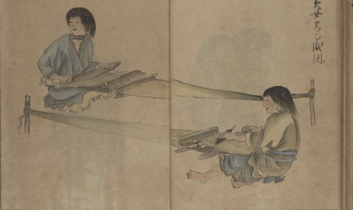 AINU ELM BARK FIBRES 