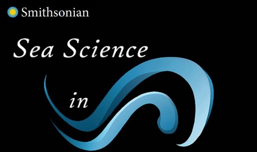 SEA SCIENCE IN SIXTY SECONDS